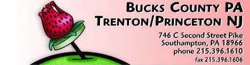 Bucks County, Trenton, Princeton